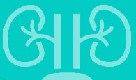 Urology &
                  Gynecology